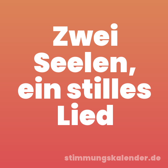 Zwei Seelen, ein stilles Lied