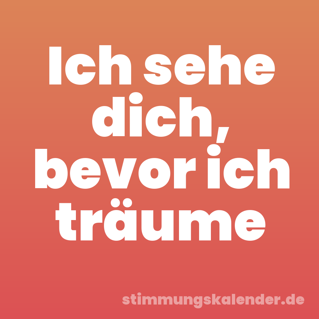 Ich sehe dich, bevor ich träume