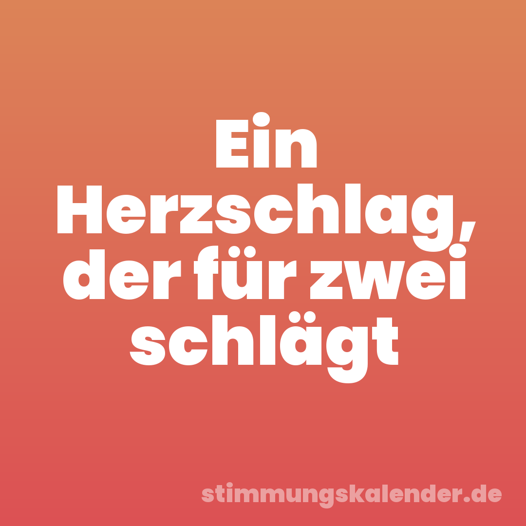 Ein Herzschlag, der für zwei schlägt