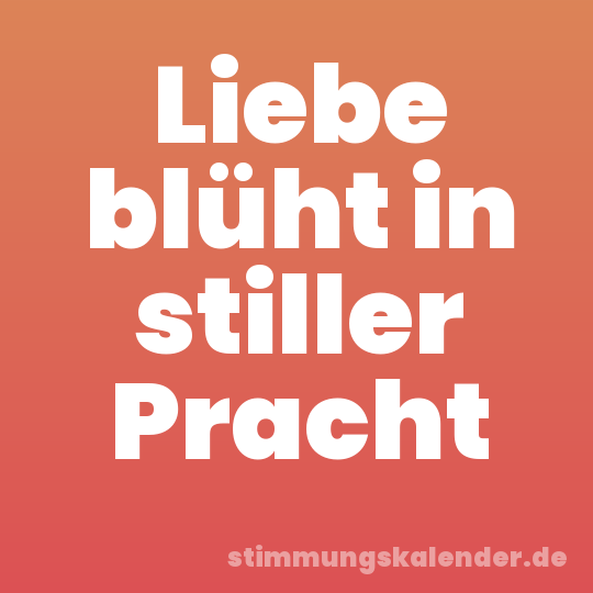 Liebe blüht in stiller Pracht