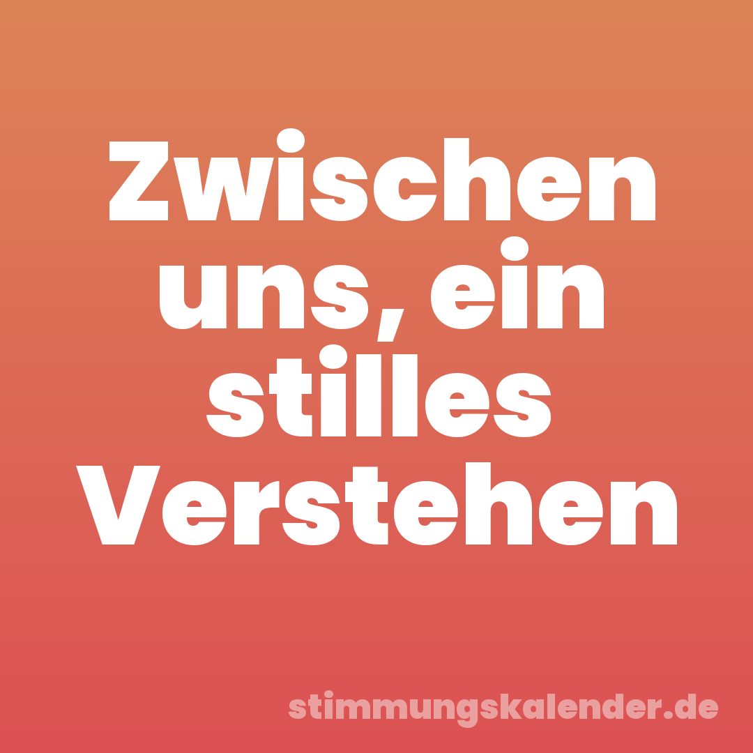 Zwischen uns, ein stilles Verstehen