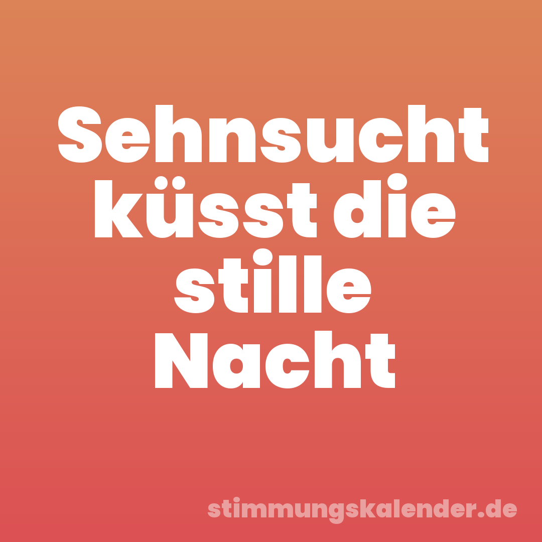 Sehnsucht küsst die stille Nacht