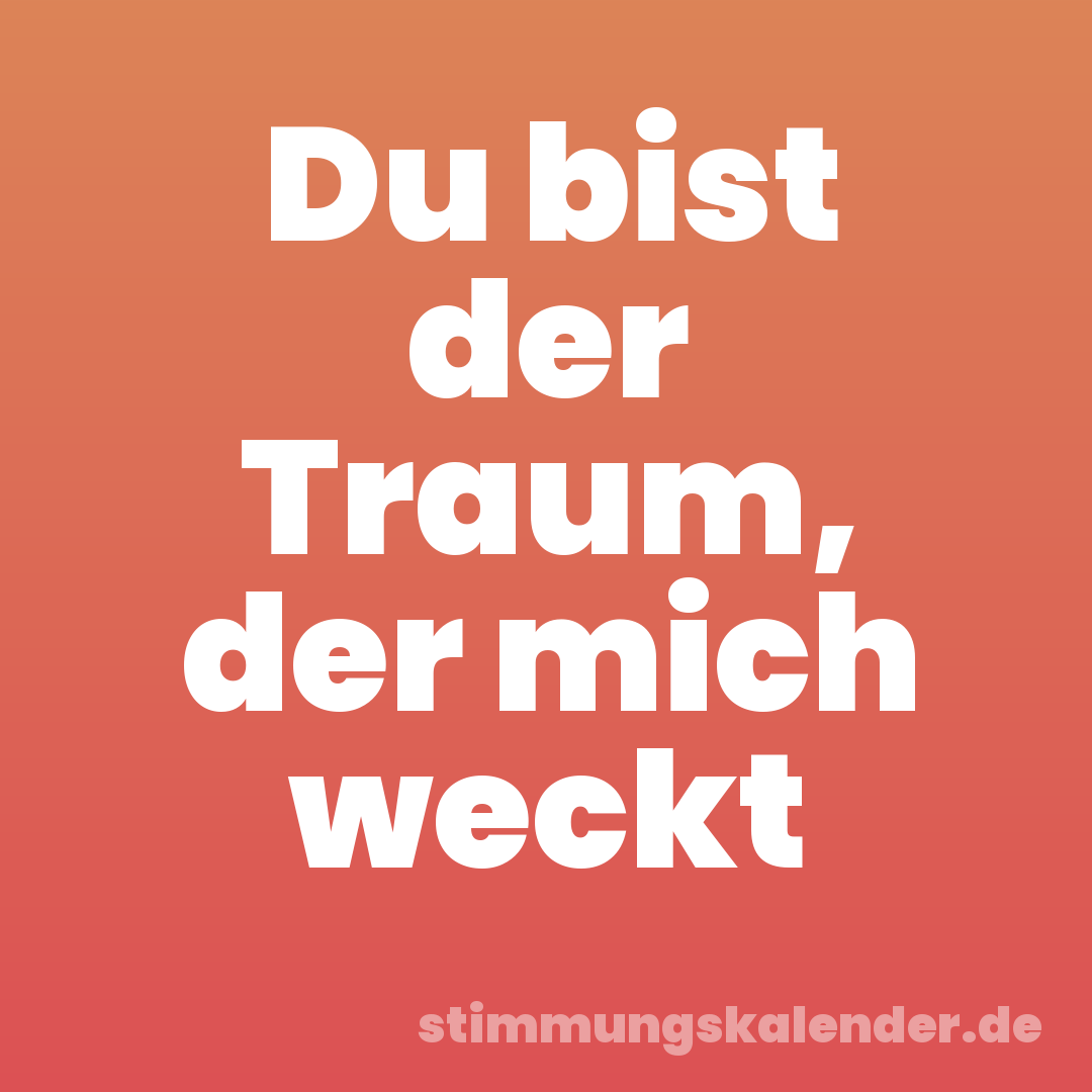 Du bist der Traum, der mich weckt