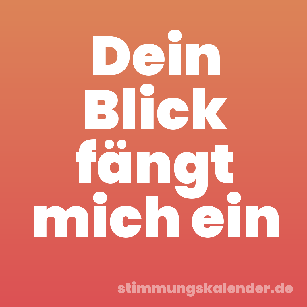 Dein Blick fängt mich ein