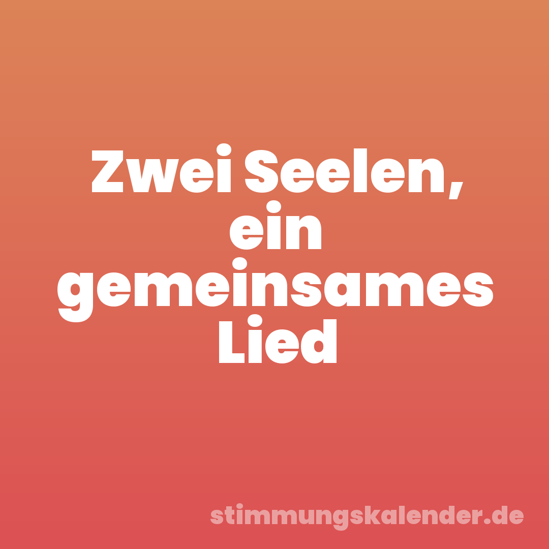 Zwei Seelen, ein gemeinsames Lied