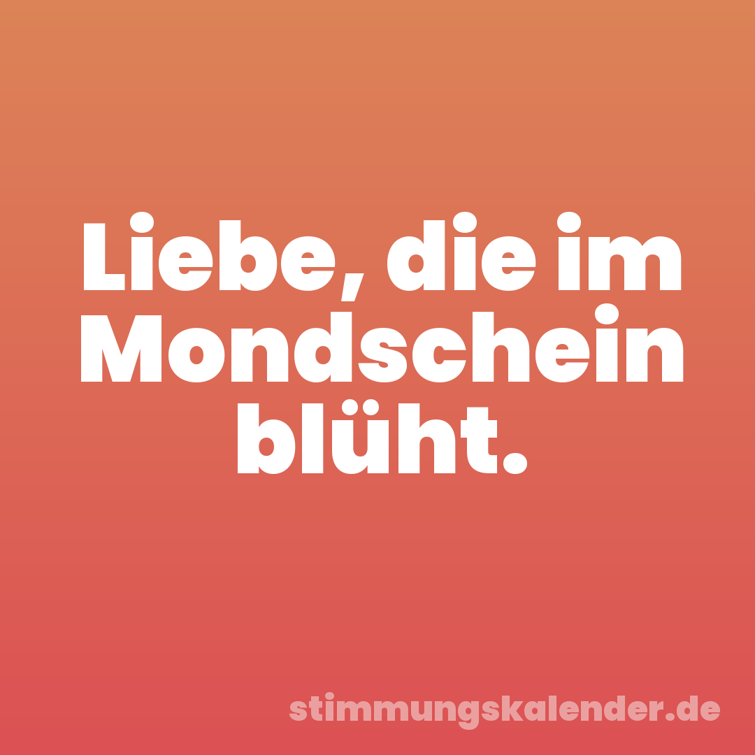 Liebe, die im Mondschein blüht.
