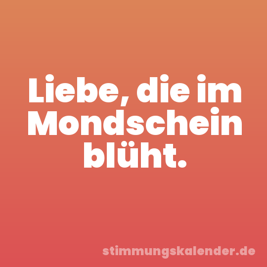 Liebe, die im Mondschein blüht.