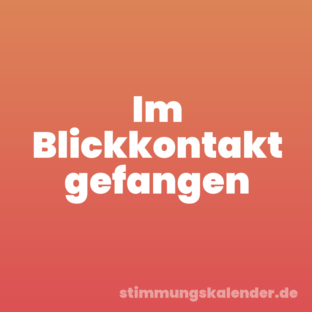 Im Blickkontakt gefangen