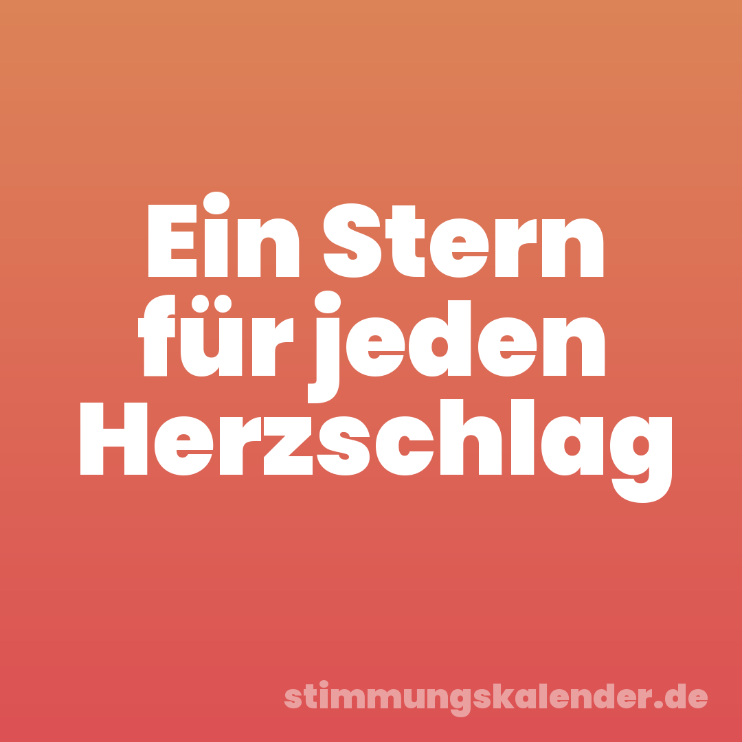 Ein Stern für jeden Herzschlag