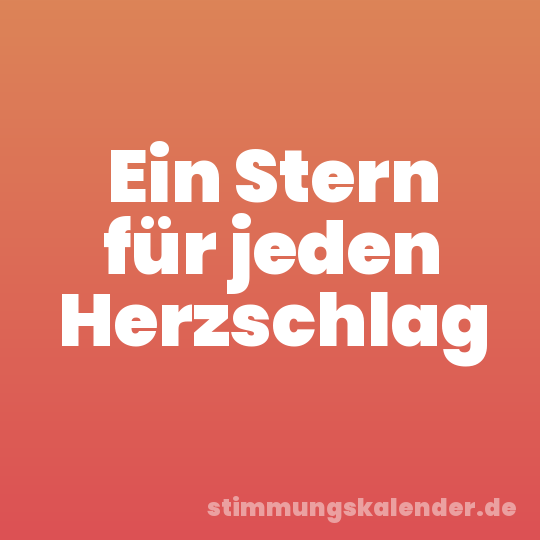 Ein Stern für jeden Herzschlag
