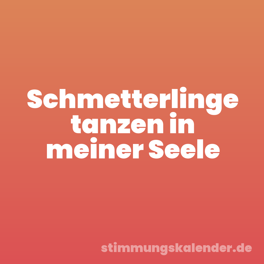 Schmetterlinge tanzen in meiner Seele