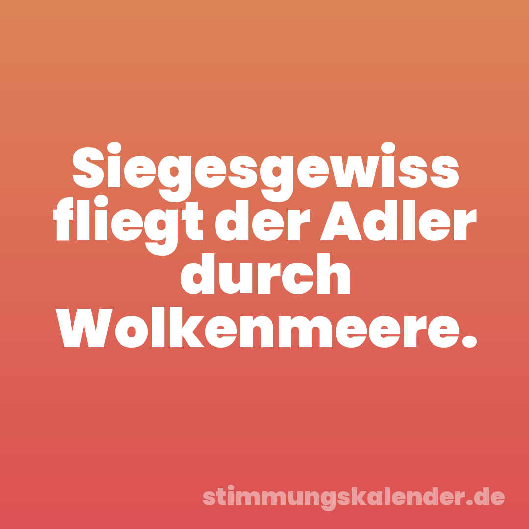 Siegesgewiss fliegt der Adler durch Wolkenmeere.