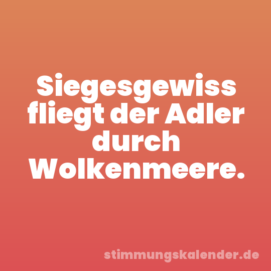 Siegesgewiss fliegt der Adler durch Wolkenmeere.