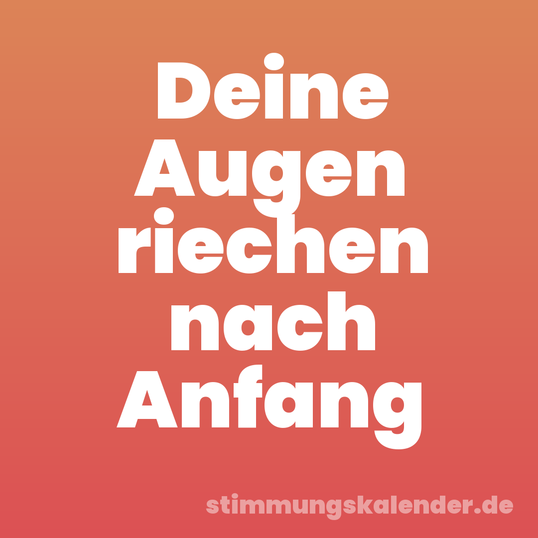 Deine Augen riechen nach Anfang