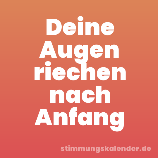 Deine Augen riechen nach Anfang