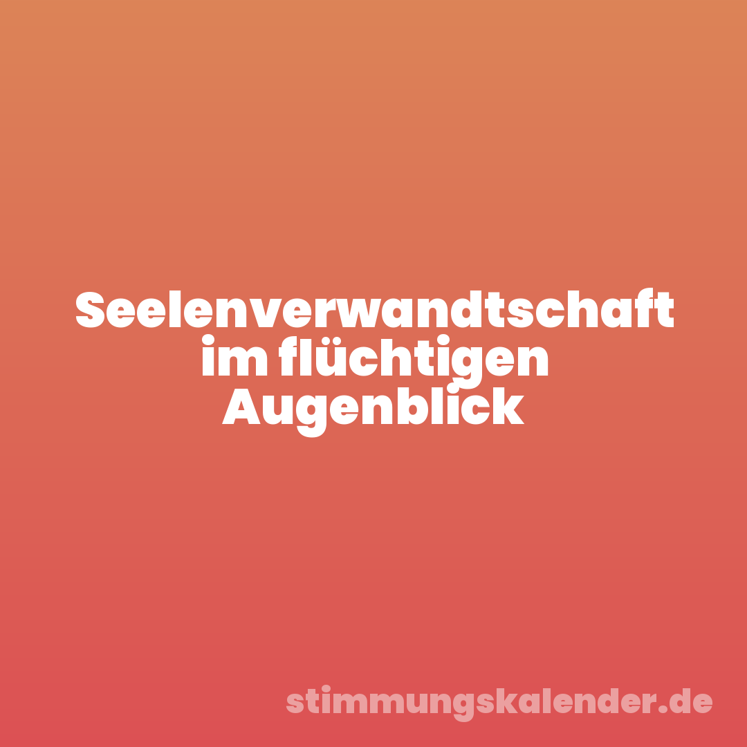 Seelenverwandtschaft im flüchtigen Augenblick