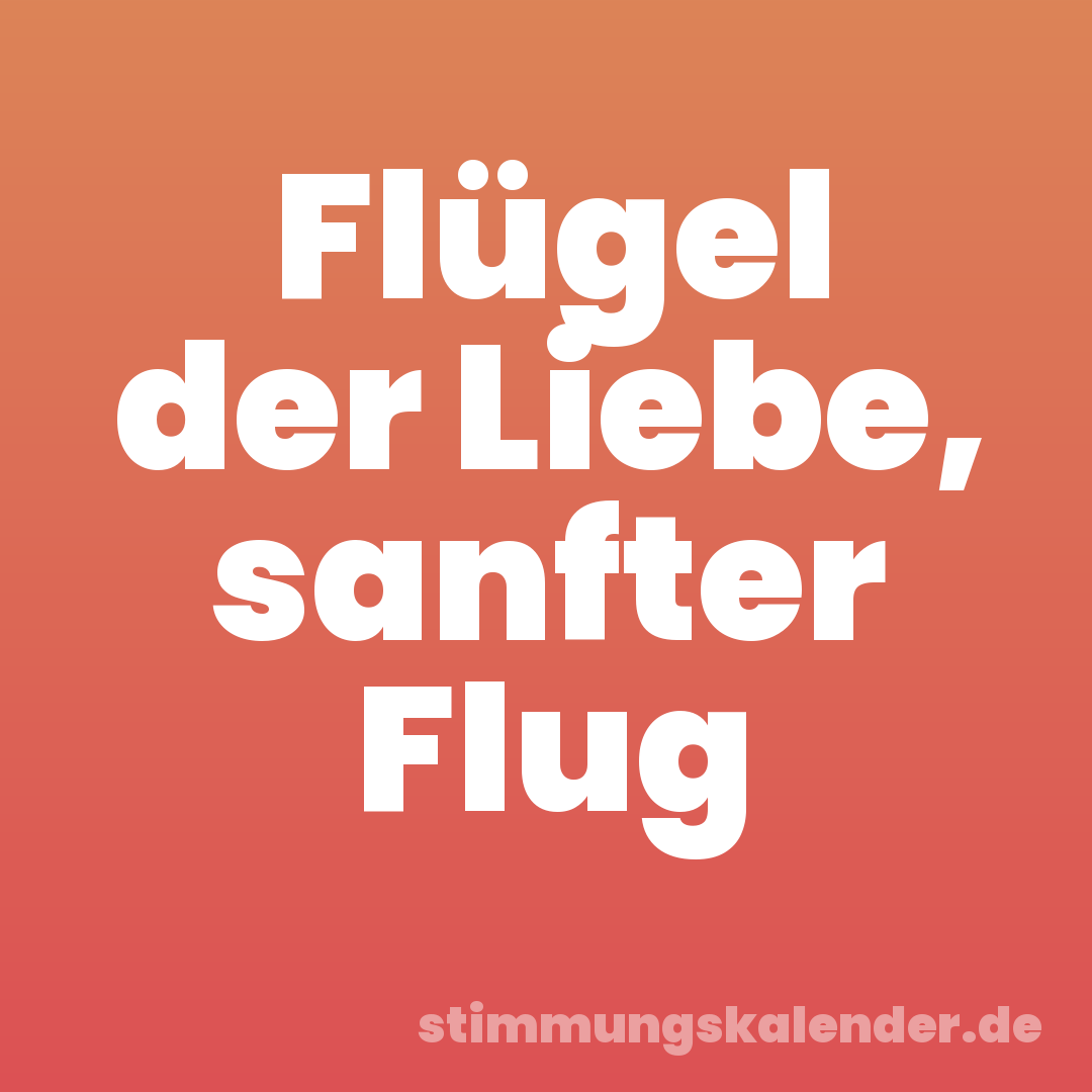 Flügel der Liebe, sanfter Flug