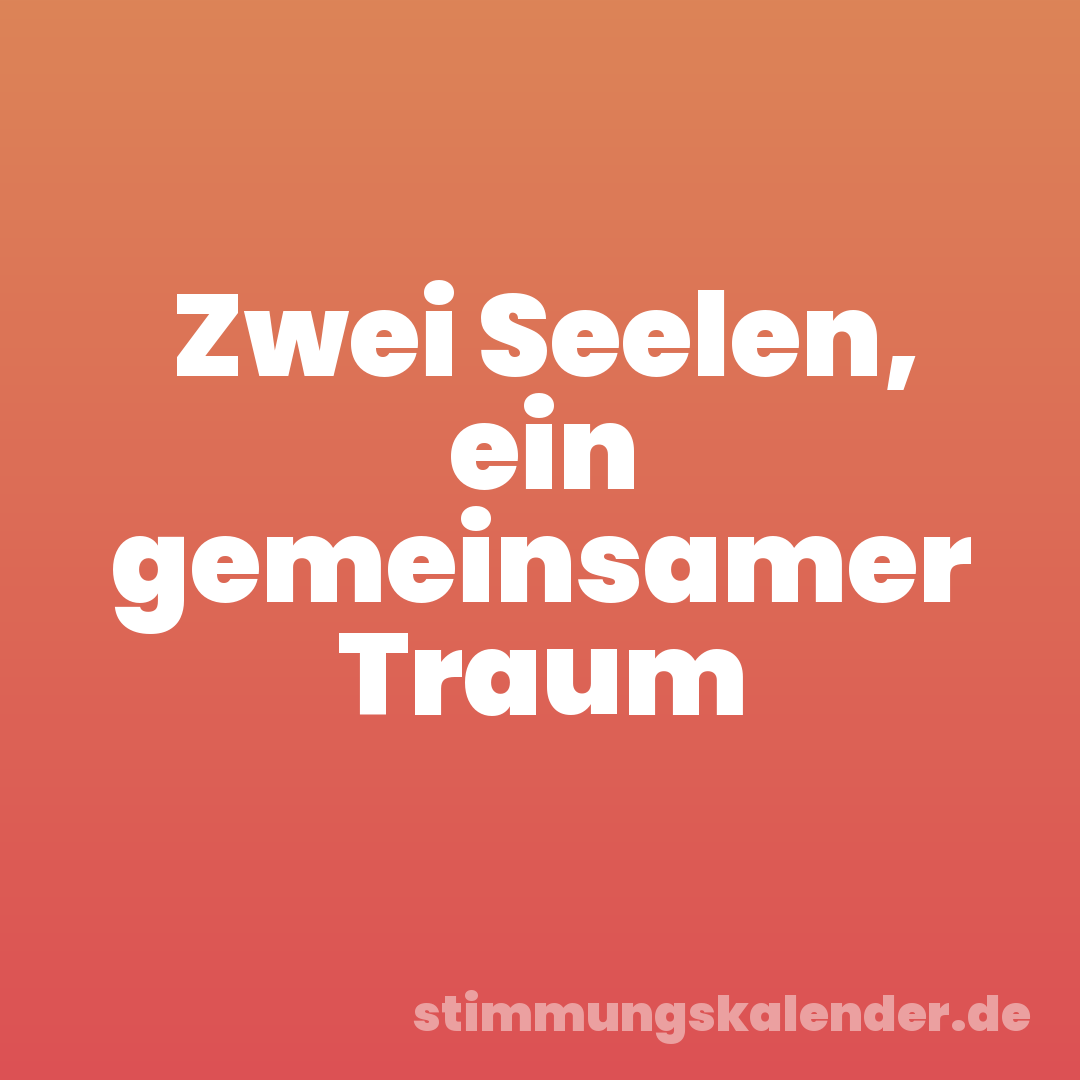 Zwei Seelen, ein gemeinsamer Traum