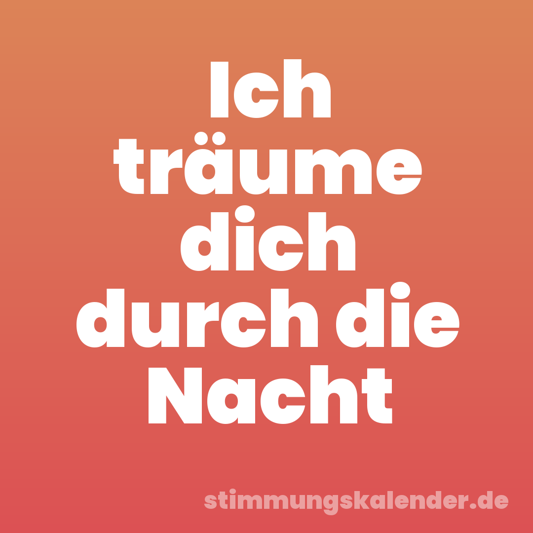 Ich träume dich durch die Nacht