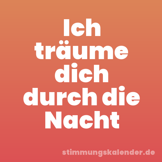 Ich träume dich durch die Nacht