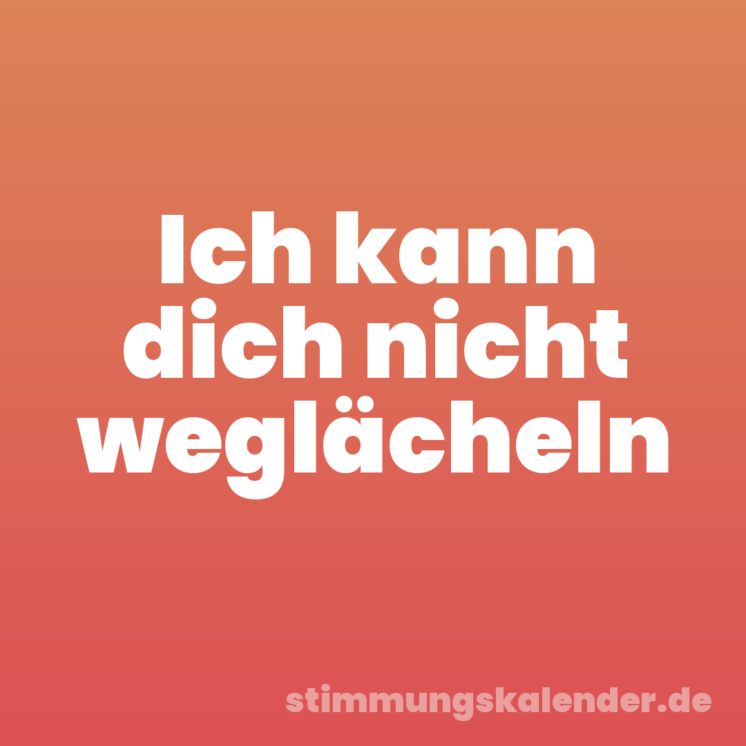 Ich kann dich nicht weglächeln