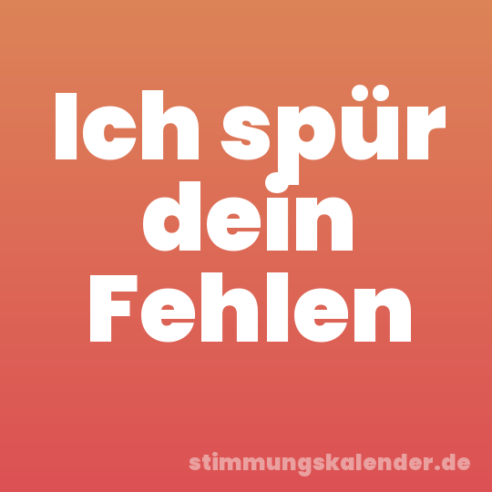Ich spür dein Fehlen