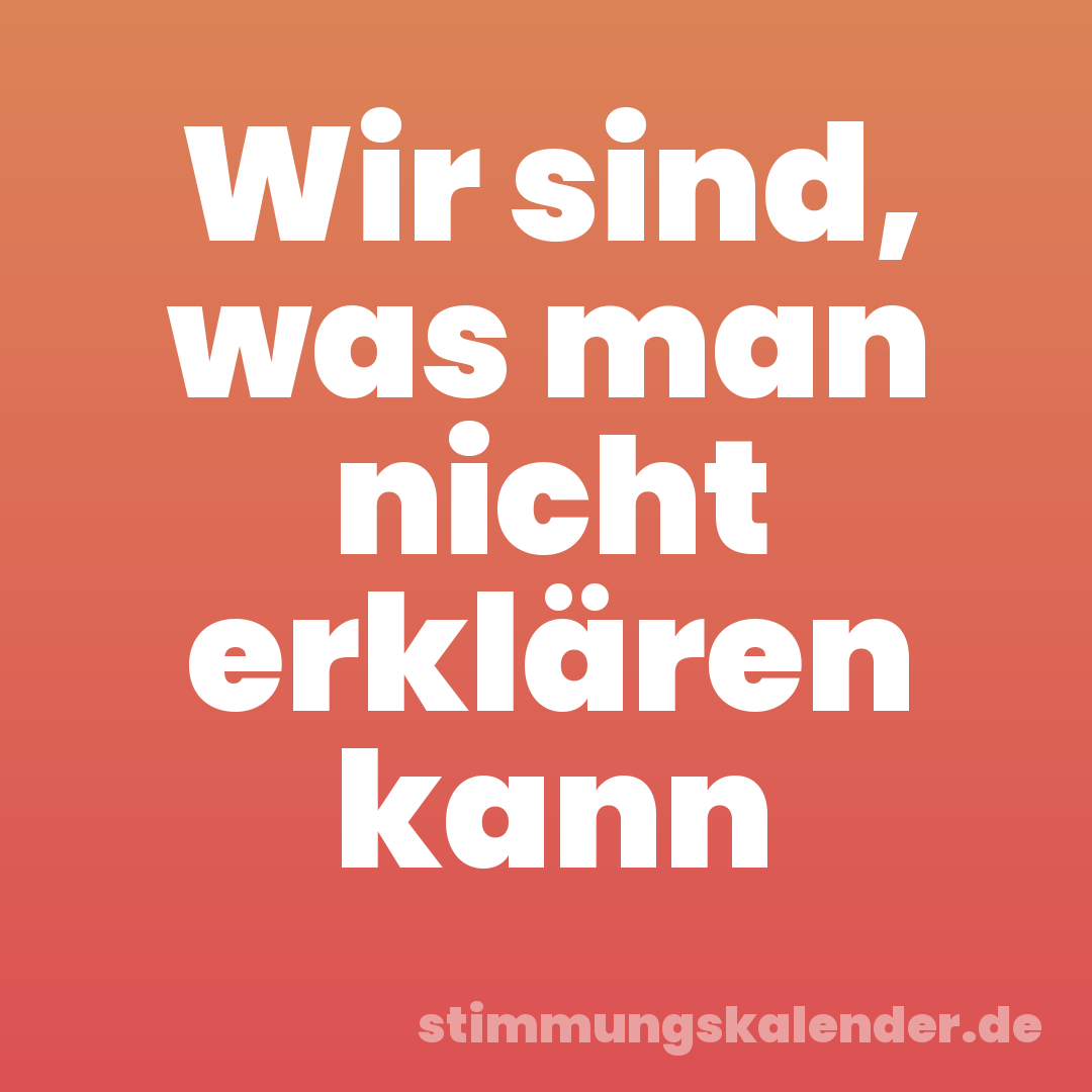 Wir sind, was man nicht erklären kann