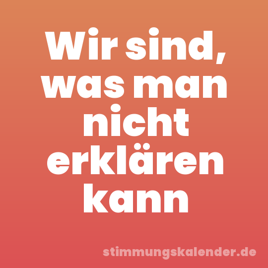 Wir sind, was man nicht erklären kann
