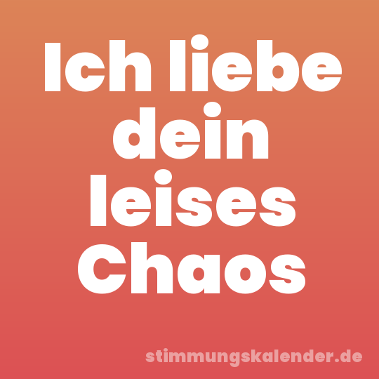 Ich liebe dein leises Chaos