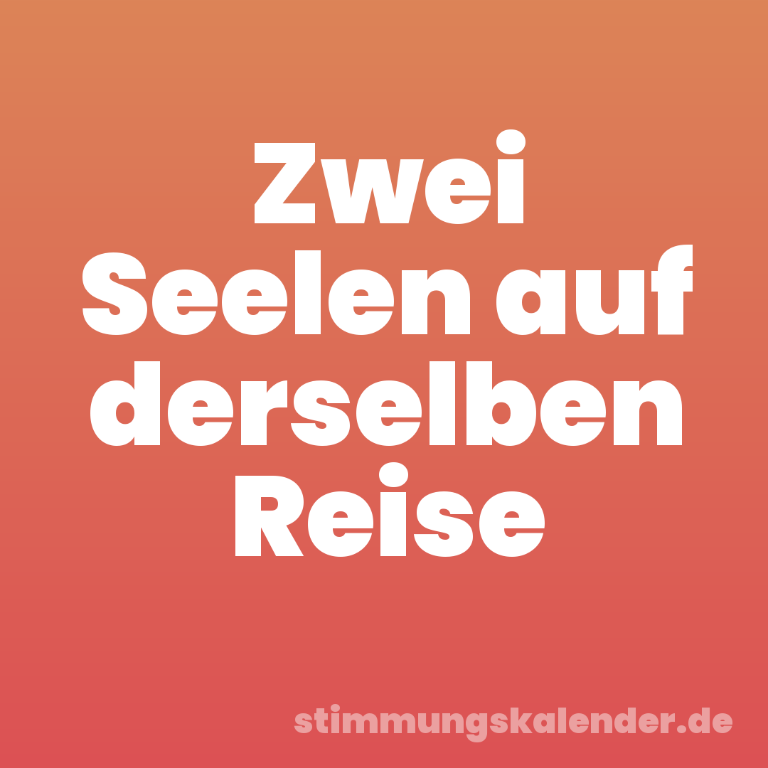 Zwei Seelen auf derselben Reise