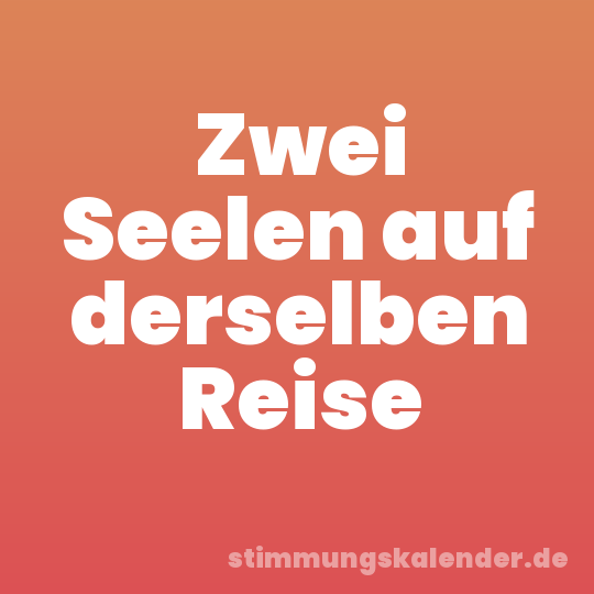 Zwei Seelen auf derselben Reise