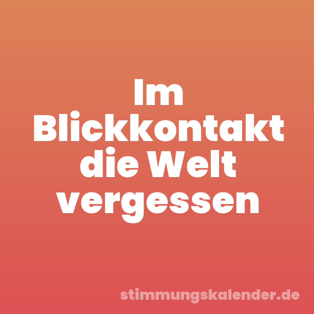 Im Blickkontakt die Welt vergessen