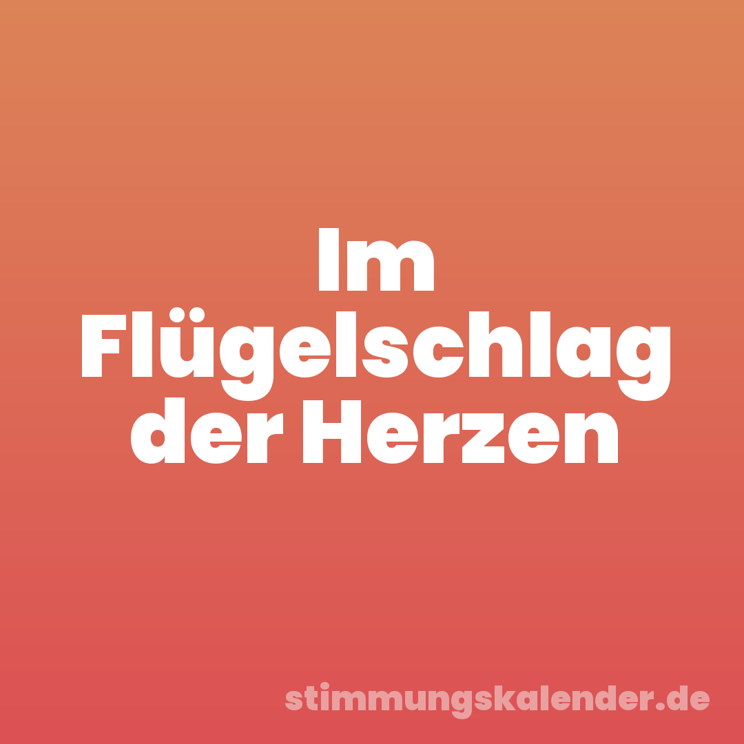 Im Flügelschlag der Herzen