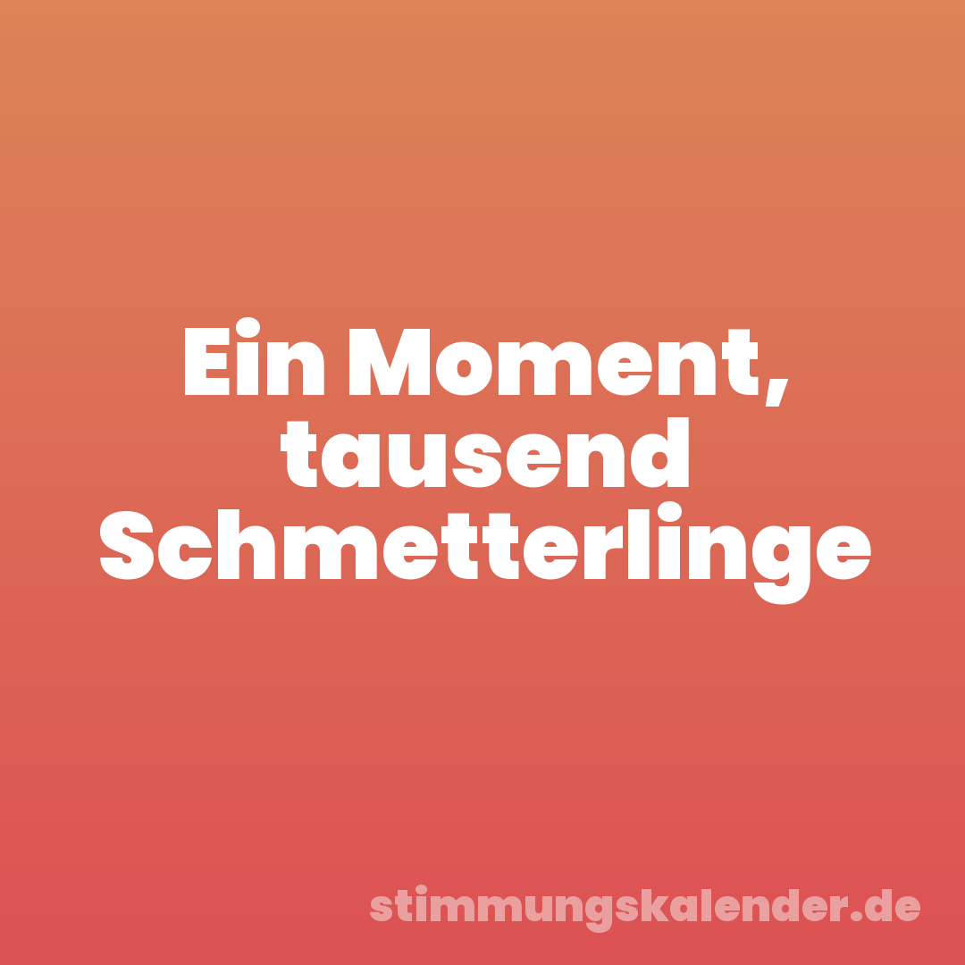 Ein Moment, tausend Schmetterlinge