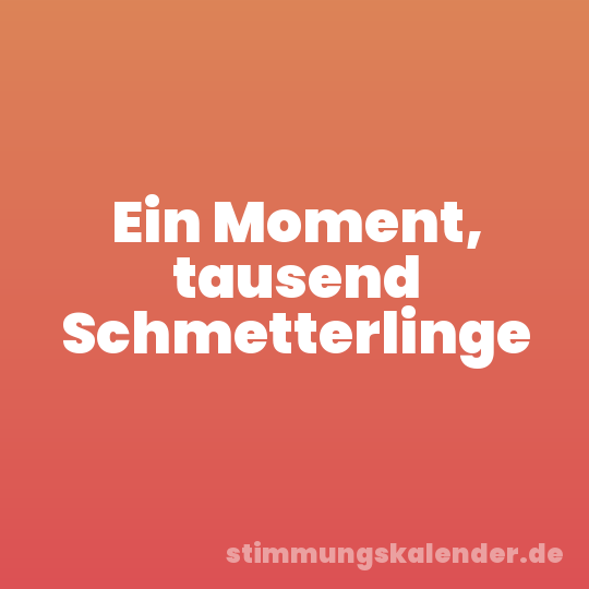 Ein Moment, tausend Schmetterlinge