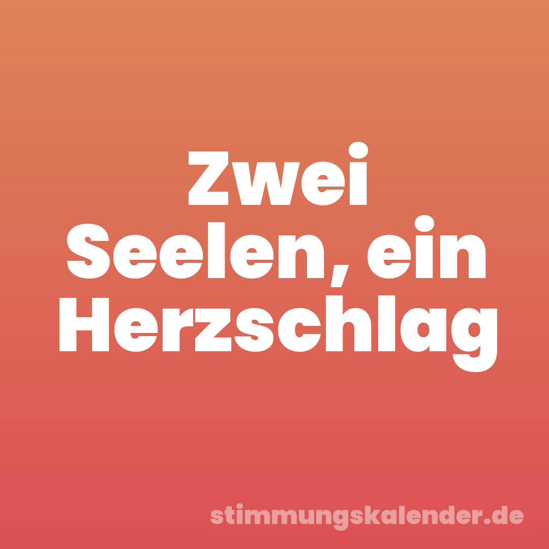 Zwei Seelen, ein Herzschlag