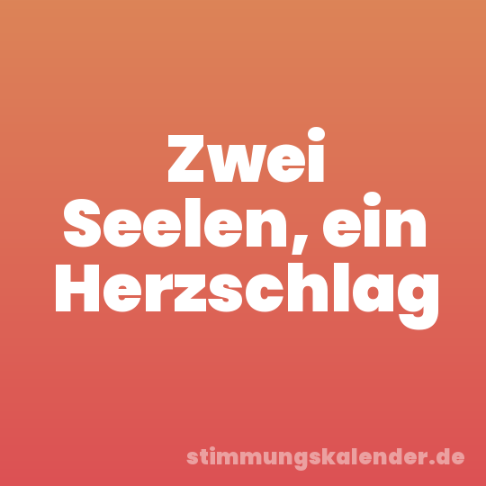 Zwei Seelen, ein Herzschlag