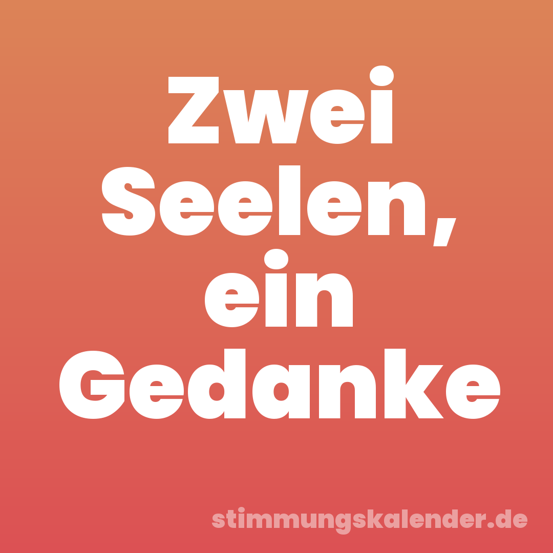 Zwei Seelen, ein Gedanke