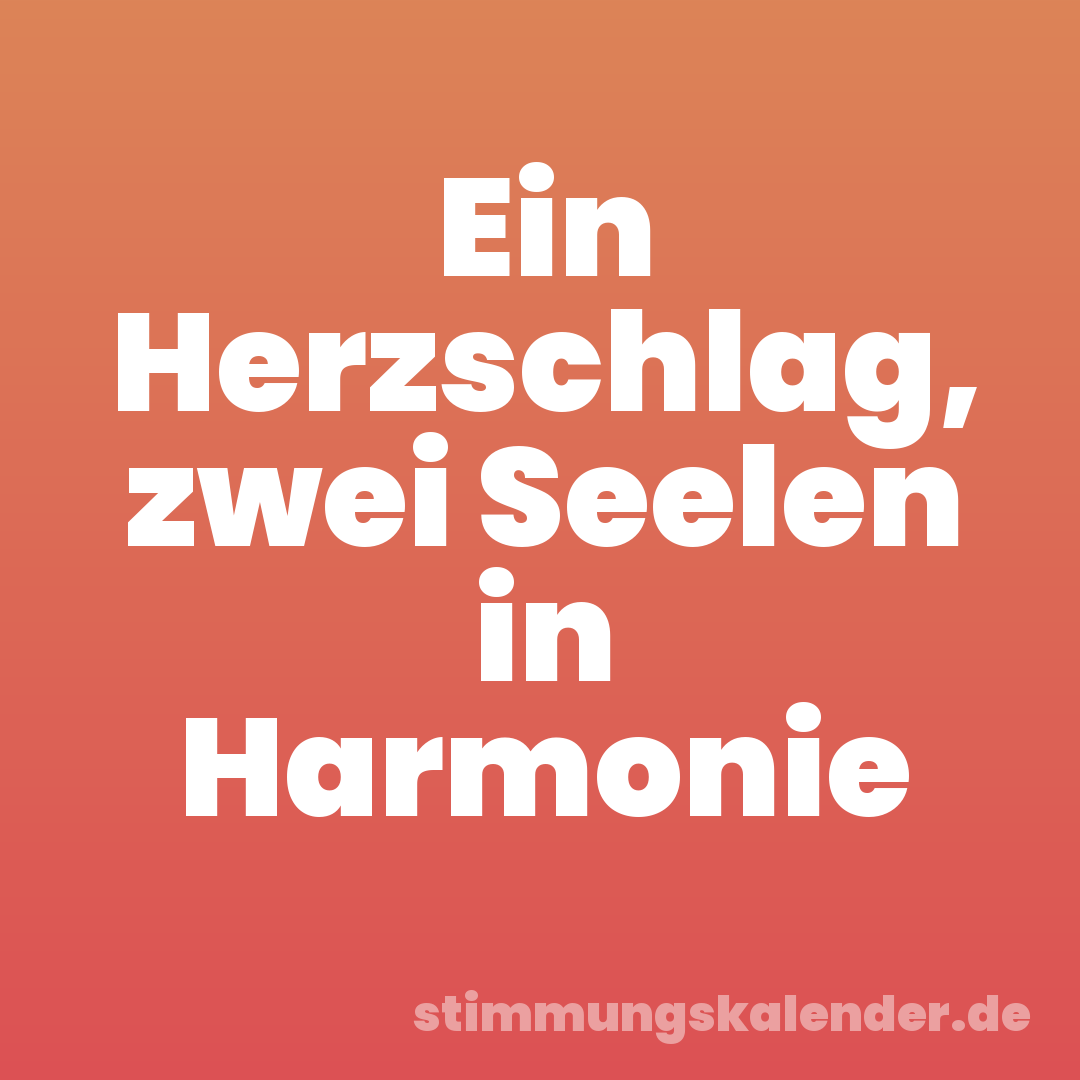 Ein Herzschlag, zwei Seelen in Harmonie