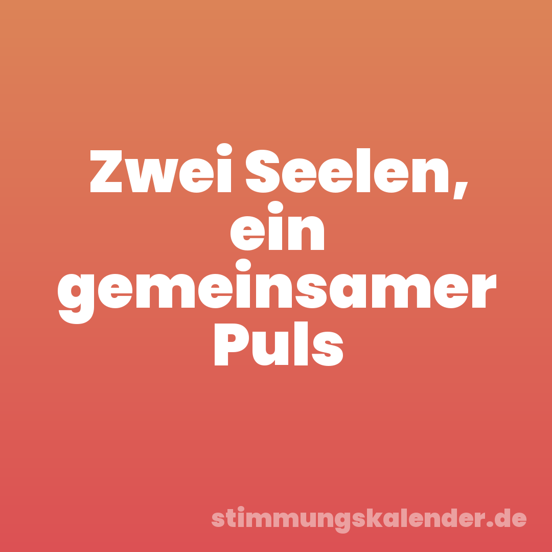Zwei Seelen, ein gemeinsamer Puls