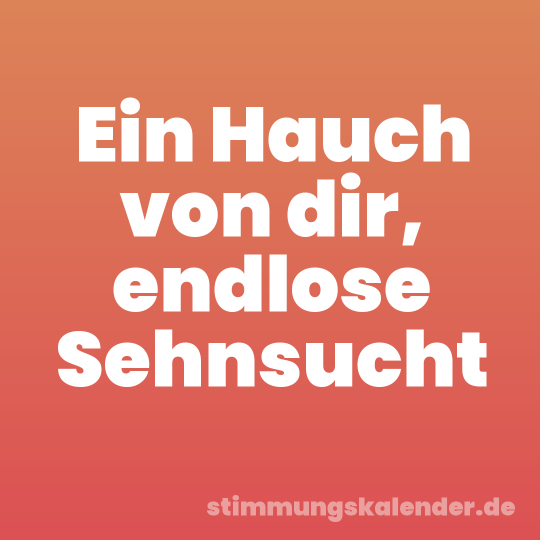 Ein Hauch von dir, endlose Sehnsucht