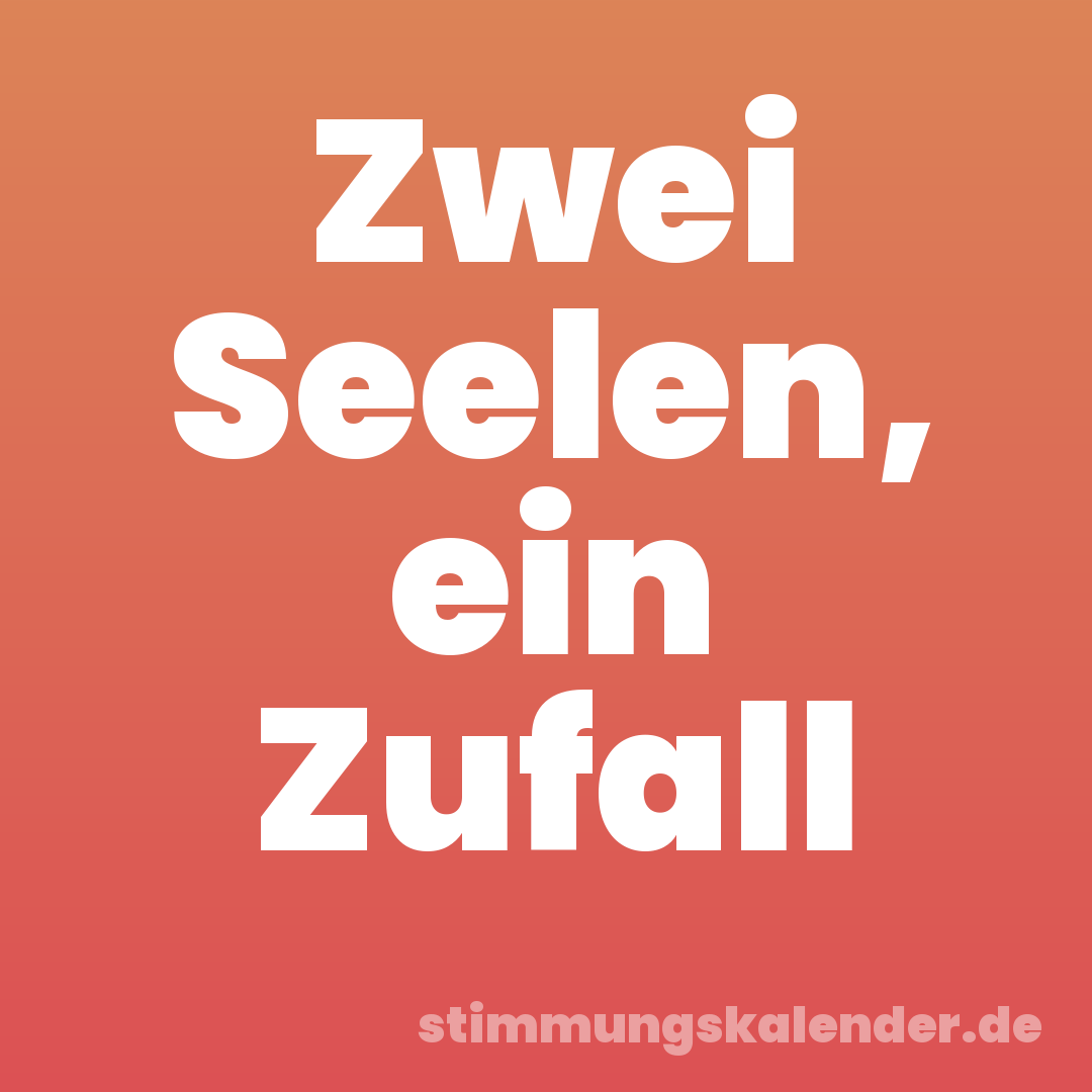 Zwei Seelen, ein Zufall