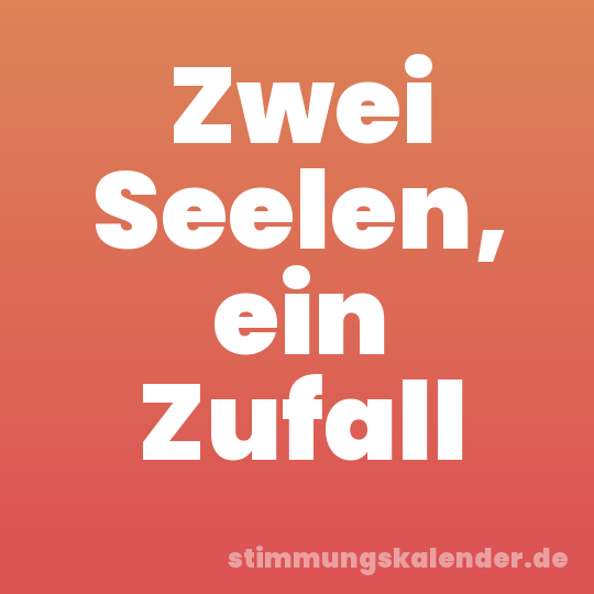 Zwei Seelen, ein Zufall