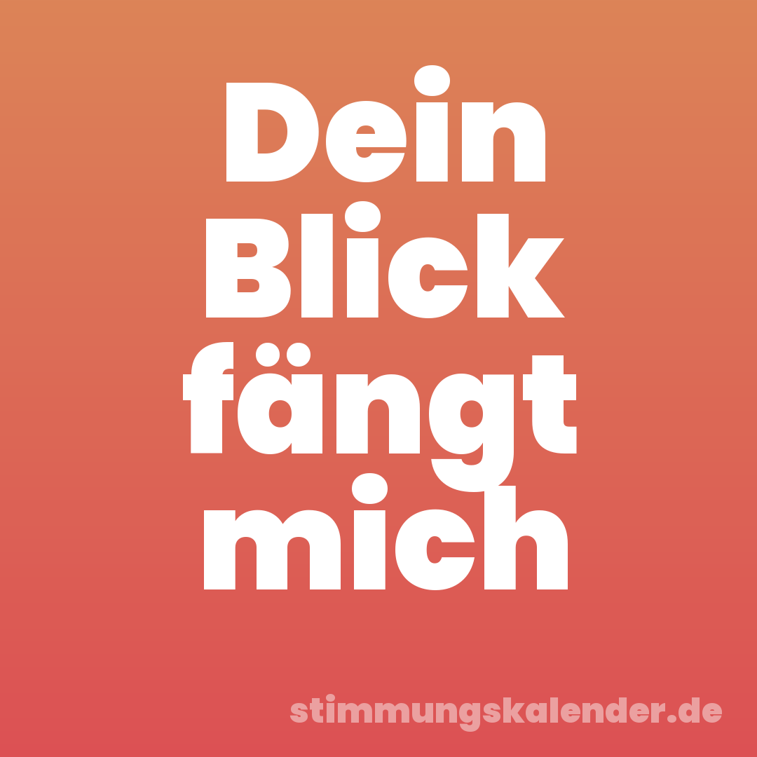 Dein Blick fängt mich