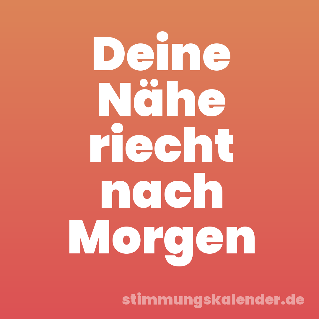Deine Nähe riecht nach Morgen