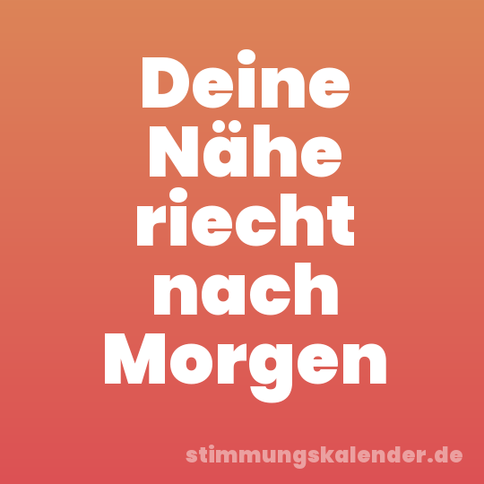 Deine Nähe riecht nach Morgen