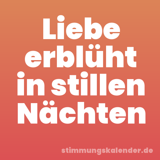 Liebe erblüht in stillen Nächten
