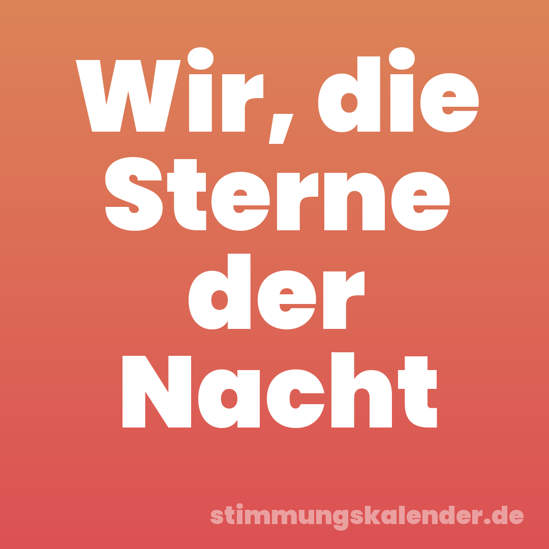 Wir, die Sterne der Nacht