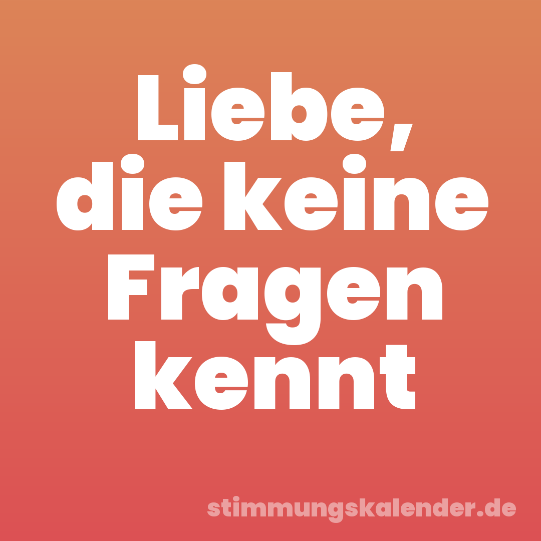 Liebe, die keine Fragen kennt