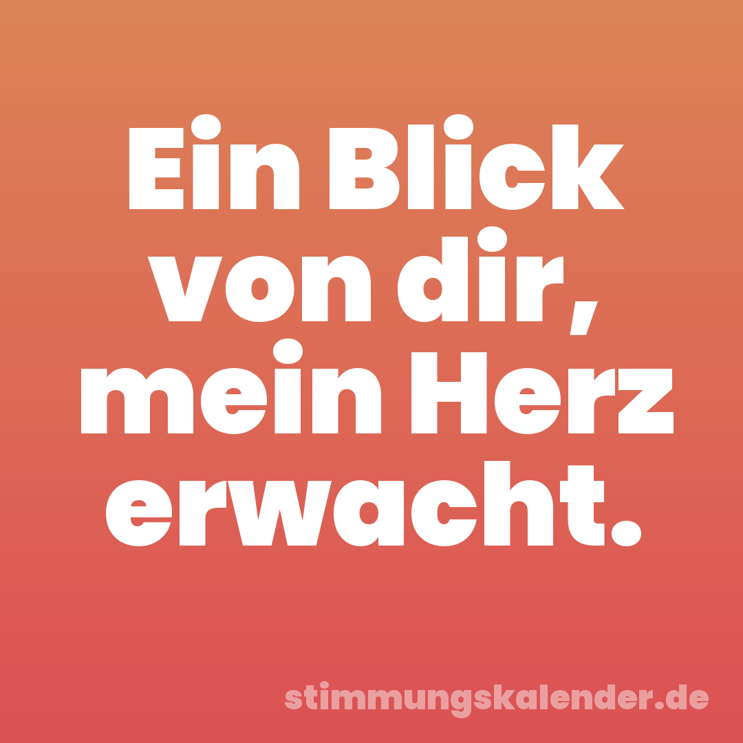 Ein Blick von dir, mein Herz erwacht.